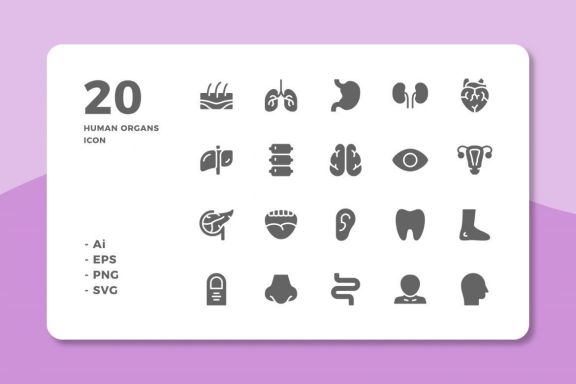 60 Human Organs Icons (3 Style)