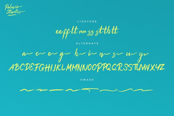 Palmia Startos | Retro Brush Script