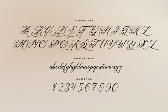Bemdayni | Modern Calligraphy Font