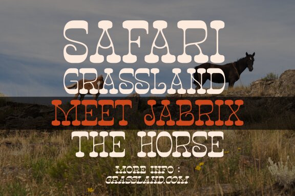 Ngarai Biscet | Western Slab Serif