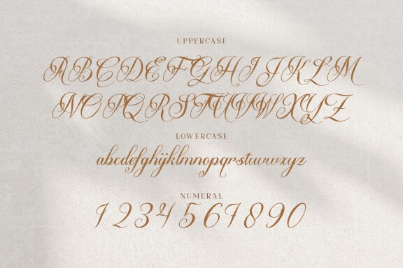 Ms Greillay | Modern Calligraphy Font