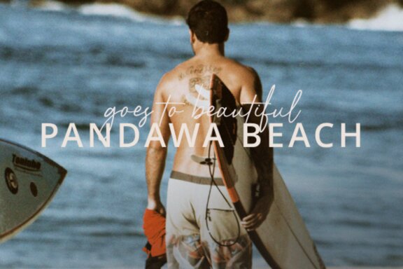 Wonderful Pandawa FREE Script