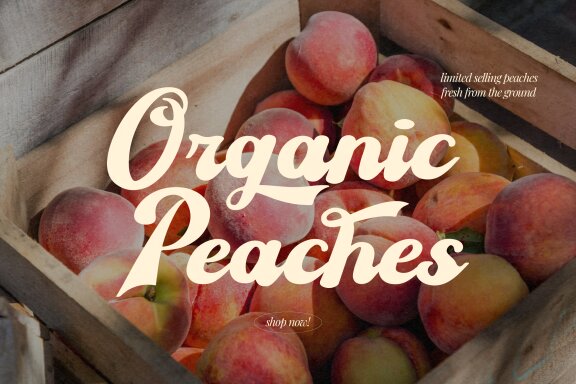 Sekitany | Retro Script Typeface