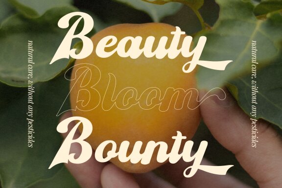 Sekitany | Retro Script Typeface