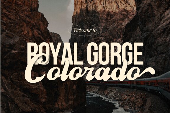 Sekitany | Retro Script Typeface
