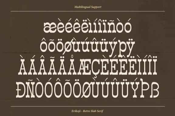 Erikoji | Retro Slab Serif