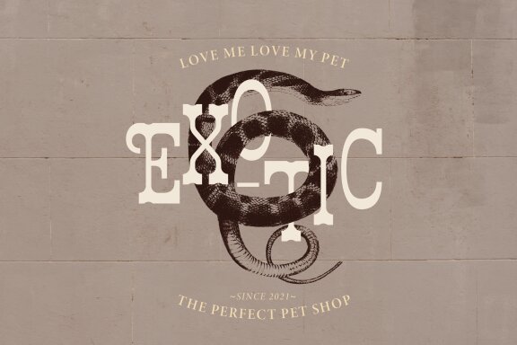 Erikoji | Retro Slab Serif