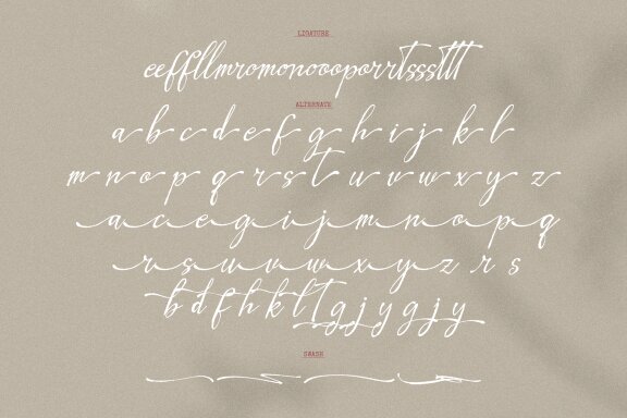 Leirtag Aquelli | Vintage Script Font
