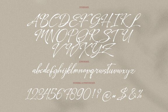 Leirtag Aquelli | Vintage Script Font