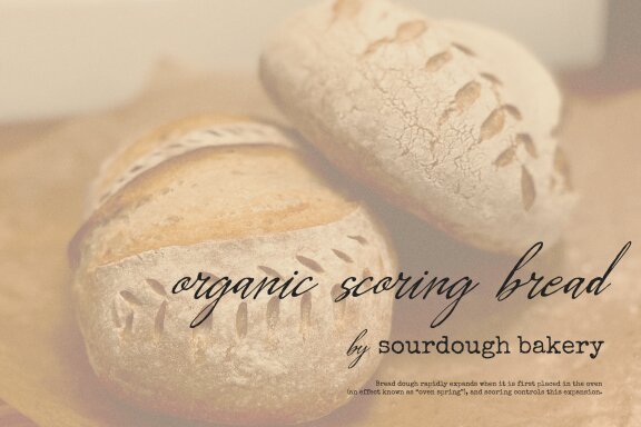 Leirtag Aquelli | Vintage Script Font