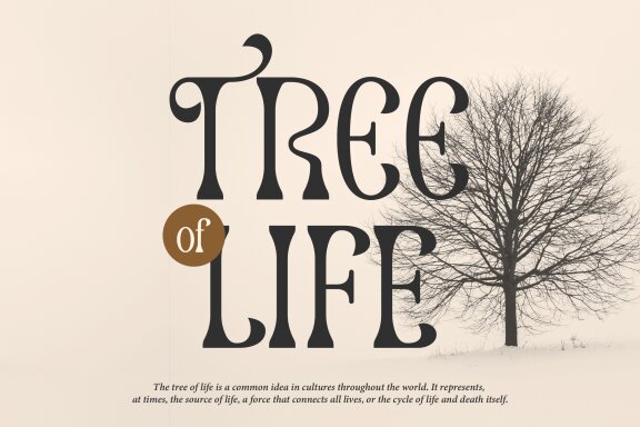 Dearshy Haislein | Slab Serif Font