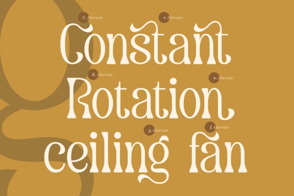 Dearshy Haislein | Slab Serif Font