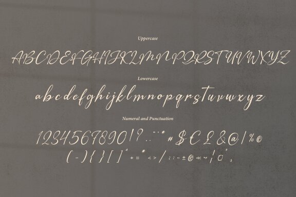 The Morteffis | Modern Chic Calligraphy