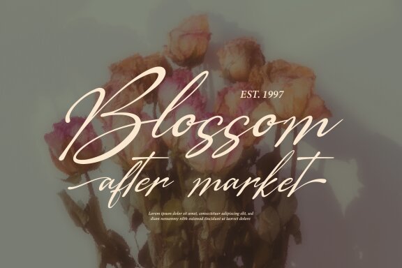 The Morteffis | Modern Chic Calligraphy