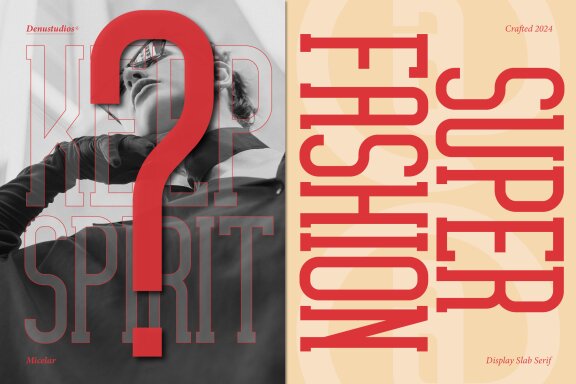 Micelar | Display Slab Serif