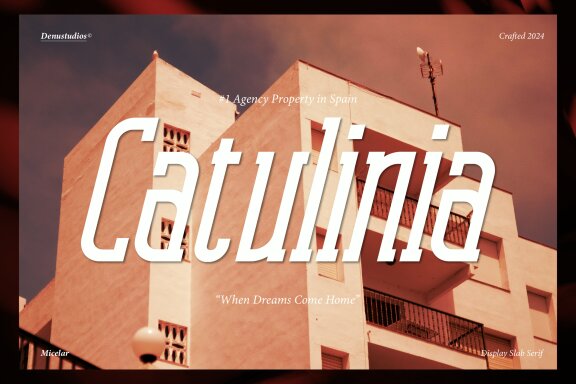 Micelar | Display Slab Serif
