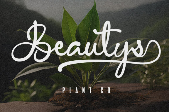 Cantens Casual Script Font Duo