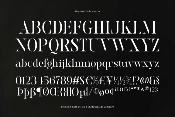Ronaile Special Stencil