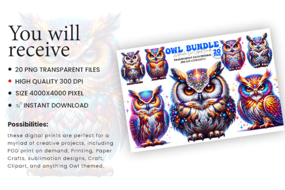 Owl Sublimation Clipart Craft PNG Bundle