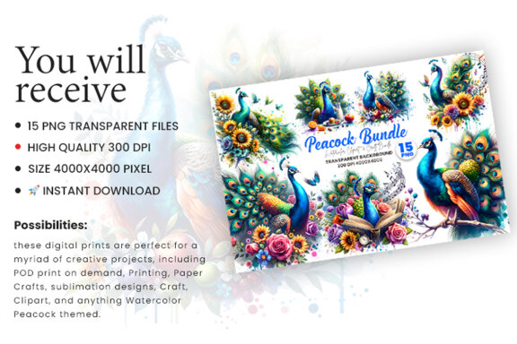 Watercolor Peacock Sublimation Clipart PNG Craft Bundle