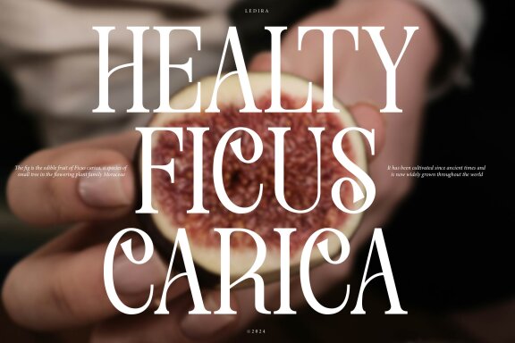 Ledira | Display Serif Font