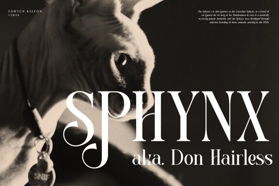 Fortun Kilfon | Modern Elegant Serif