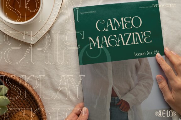 Bernos Count | Display Serif Font