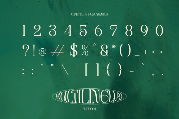 Bernos Count | Display Serif Font