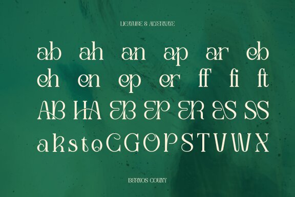 Bernos Count | Display Serif Font