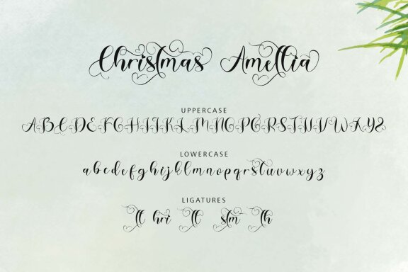 Christmas Amellia FREE Script