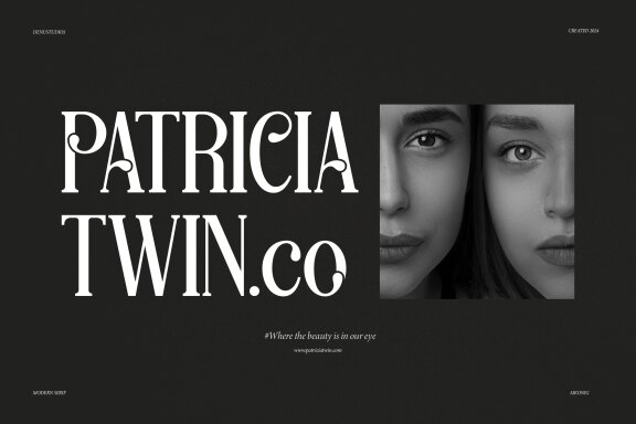Aikonig | Modern Serif Font