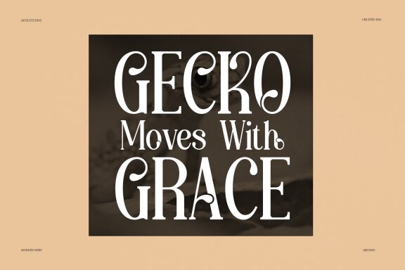 Aikonig | Modern Serif Font