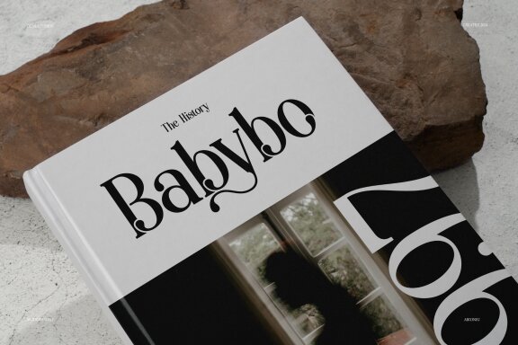 Aikonig | Modern Serif Font