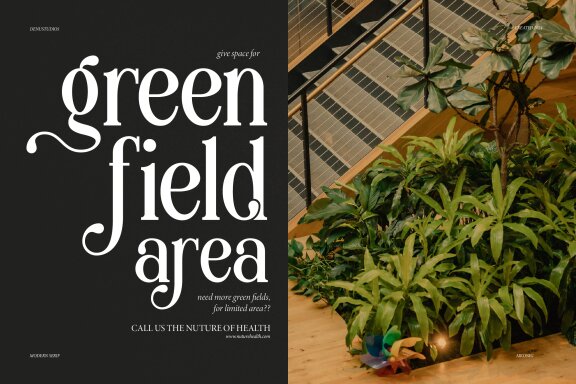 Aikonig | Modern Serif Font