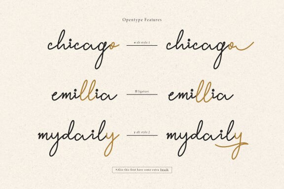 Willey Medium | Monoline Script Font