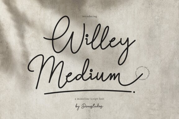 Willey Medium | Monoline Script Font