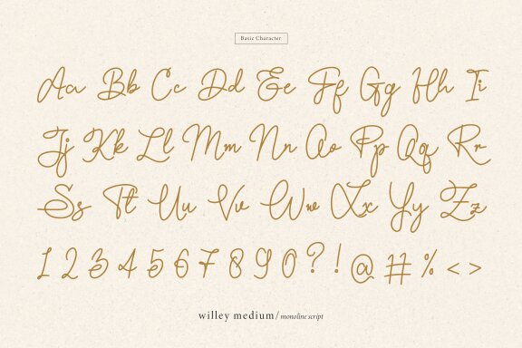 Willey Medium | Monoline Script Font