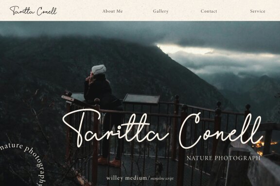 Willey Medium | Monoline Script Font