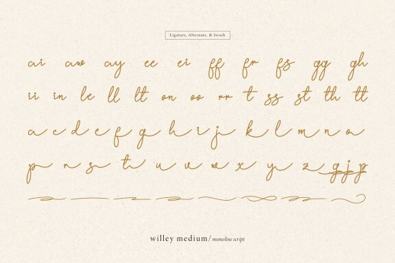 Willey Medium | Monoline Script Font