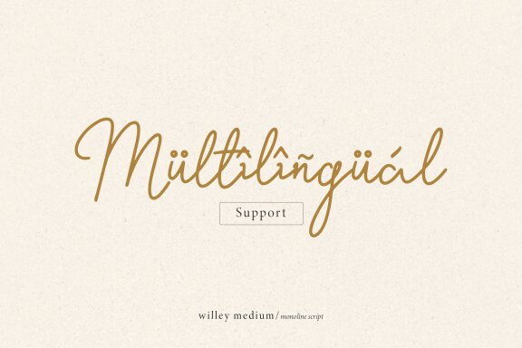 Willey Medium | Monoline Script Font