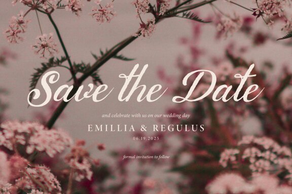 Calaris Deritta | Brush Handwritten Script