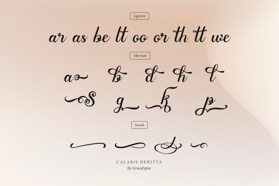 Calaris Deritta | Brush Handwritten Script