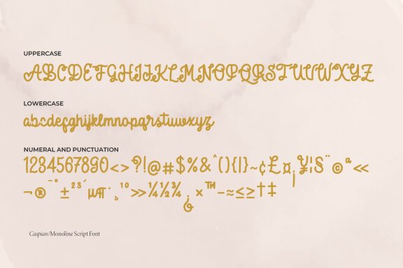 Caspian | Monoline Script