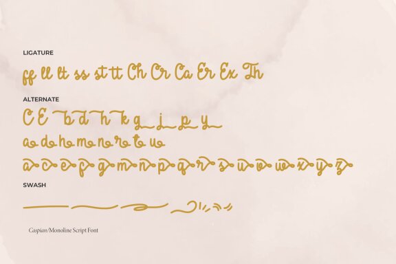 Caspian | Monoline Script