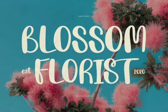 Lily Lovely | Hand Drawn Font