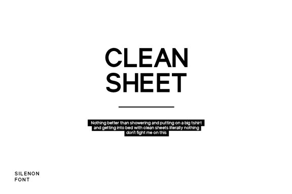 Silenon Sans Serif Font Display
