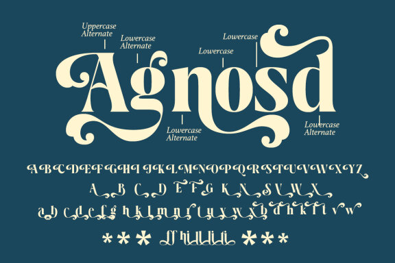 Ralite - Modern Serif Display Font