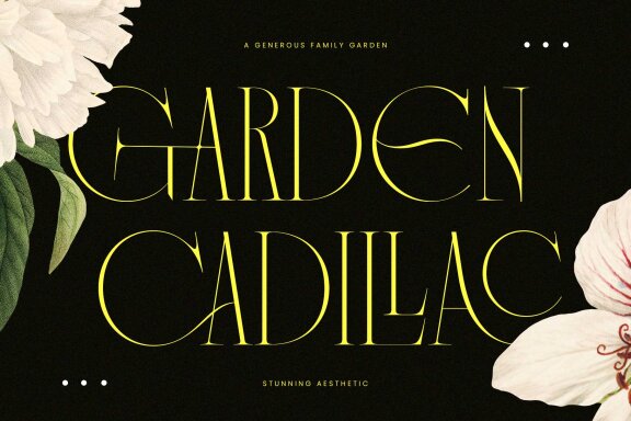 Vagesha Rolenda – Fancy Serif