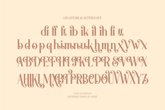 Aslin Alodian | Modern Display Serif