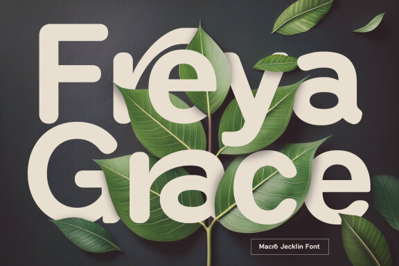 Macro Jecklin Rounded Sans Serif Display Font